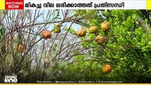 ഓറഞ്ചിന് എന്തൊരു മധുരമാണ്. പക്ഷെ കർഷകർക്ക് കയ്പ്പാണ്. നാഗ്പൂർ ഓറഞ്ചിൻ‍റെ വിശേഷങ്ങൾ...