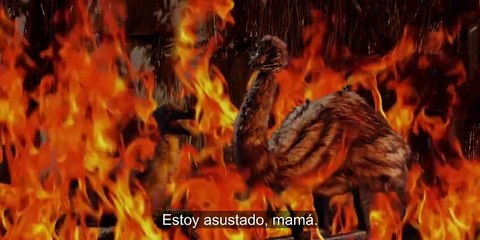 The Emu War | movie | 2023 | Official Trailer