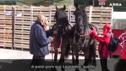 Carnevale di Ivrea, il cavallante: "Tradizione di famiglia tramandata"