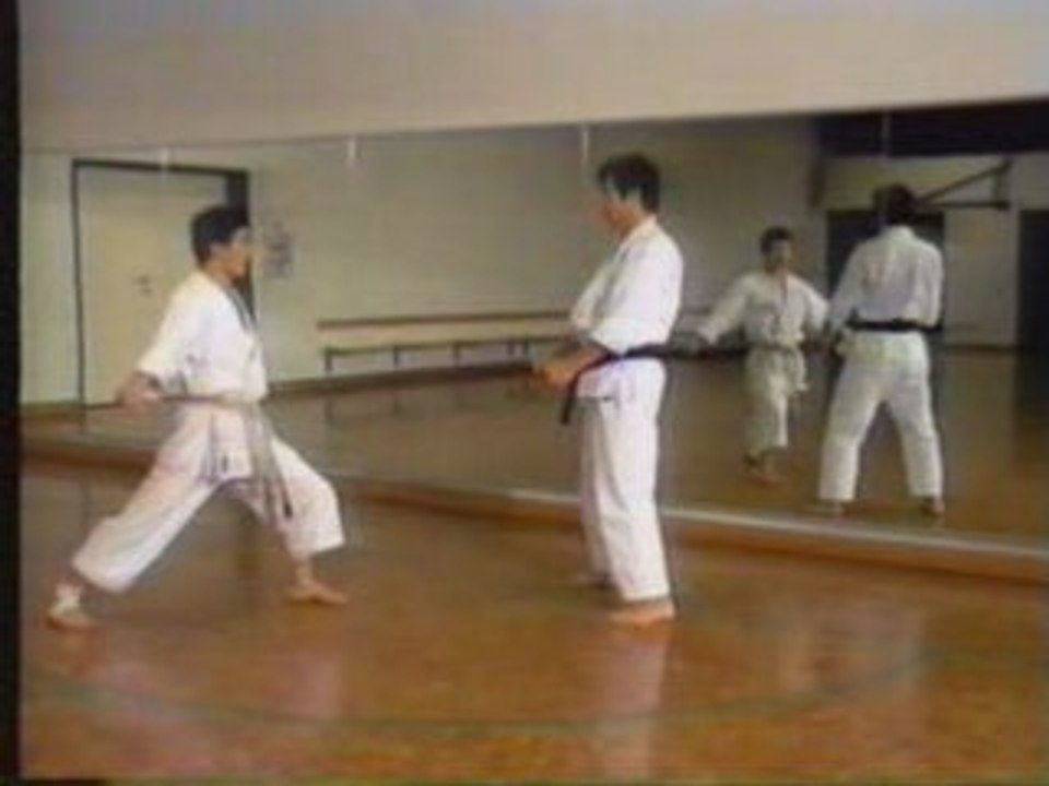 Démonstration Shotokan Kihon ippon kumite