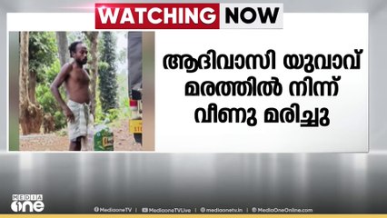 മരത്തിൽ നിന്ന് വീണ് ആദിവാസി യുവാവ് മരിച്ചു; അപകടം തേൻ എടുക്കുന്നതിനിടെ