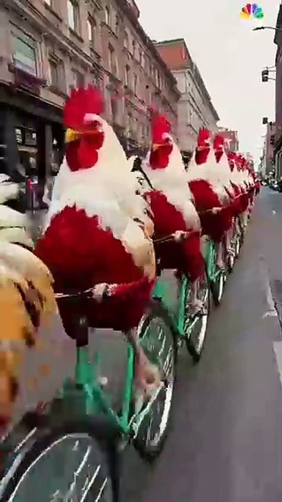 _shorts _shortvideo _short _shortsvideo _animals _funny _comedyshorts  _video _video)