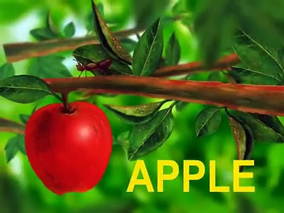 Learn the ABCs_ _A_ is for Ant