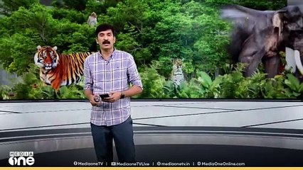 കൂട്ടിലടച്ചിരുന്ന ഏഴ് ആടുകളെ കടിച്ചു കൊന്നു; ആക്രമണം നടത്തിയത് പുലിയെന്നാണ് സംശയം