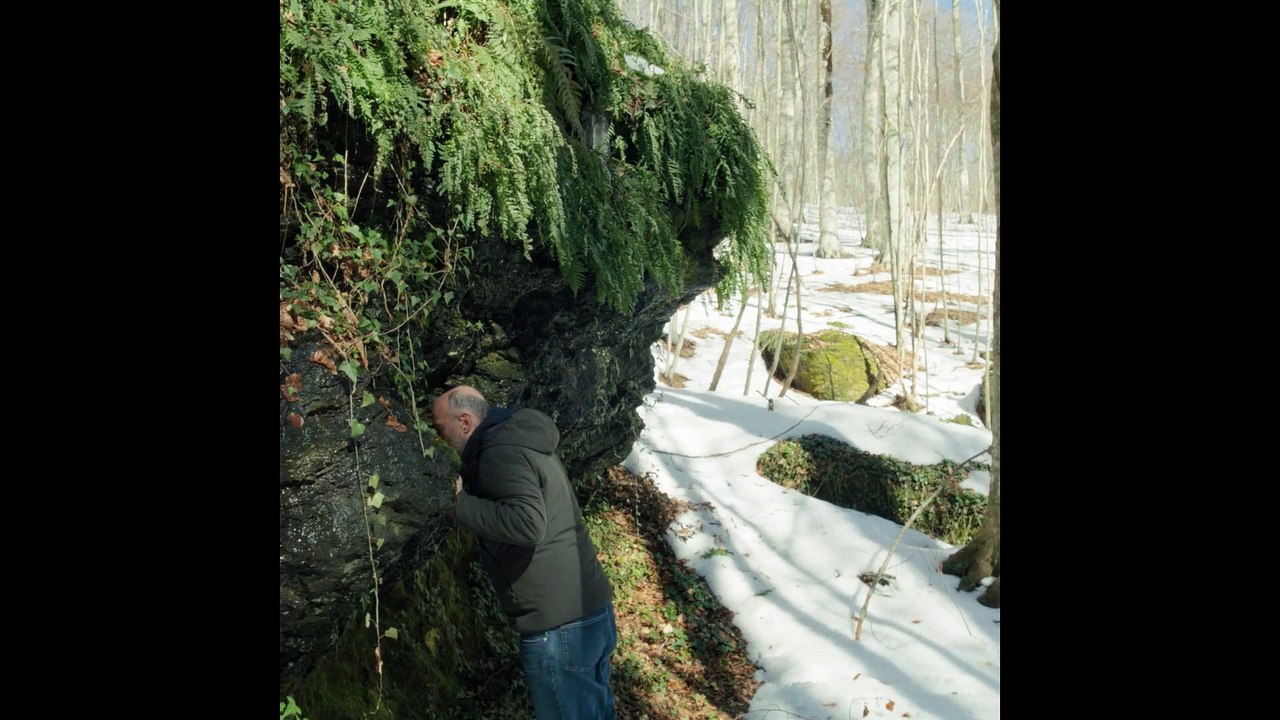 Canone effimero | movie | 2025 | Official Trailer