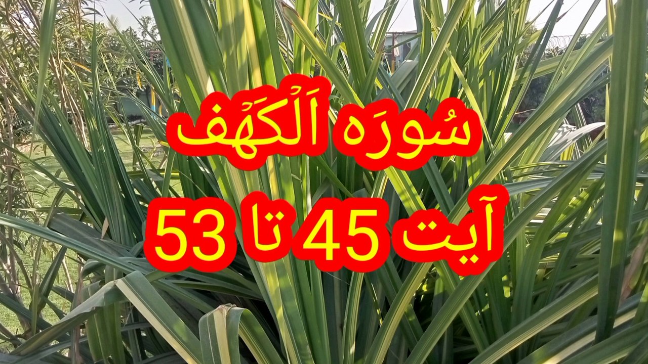 Surah Al kahf | Beautiful Tilawat | Surah kahf ki tilawat | quran recitation |