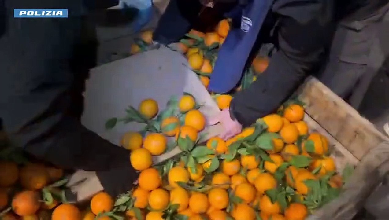 Il video dell'operazione antidroga a Catania, lo stupefacente a bordo di un tir che trasportava frutta