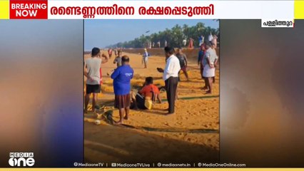 നാല് തിമിംഗല സ്രാവുകൾ വലയിൽ കുരുങ്ങി; രണ്ടെണ്ണത്തിനെ വല മുറിച്ച് രക്ഷപ്പെടുത്തി