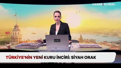 Türkiye’nin yeni kuru inciri: Siyah orak
