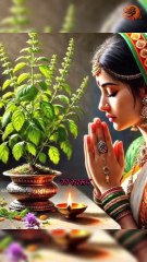 The Soul’s Journey Through 84 Lakh Species!