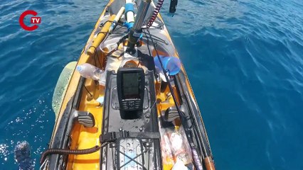 Kaplan köpekbalığı böyle saldırdı