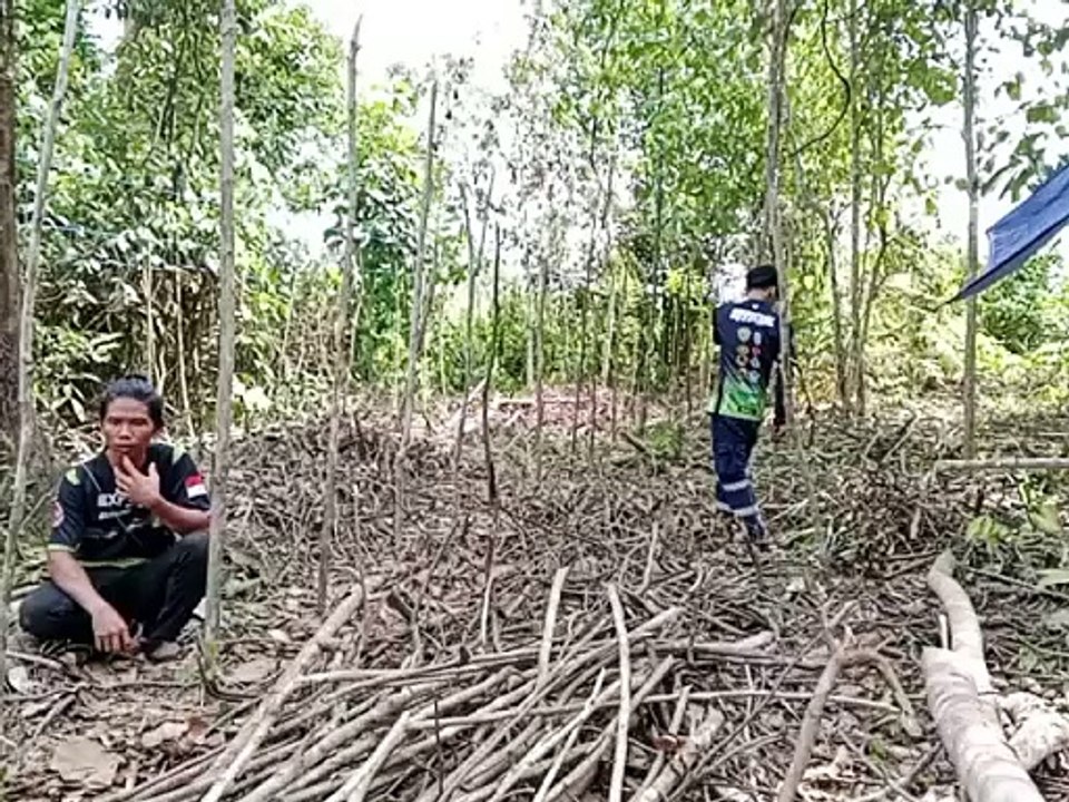 Warga Suku Balik Berkebun