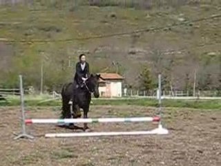 Néro double 1 avril 2OO8 (cassage d'obstacle)