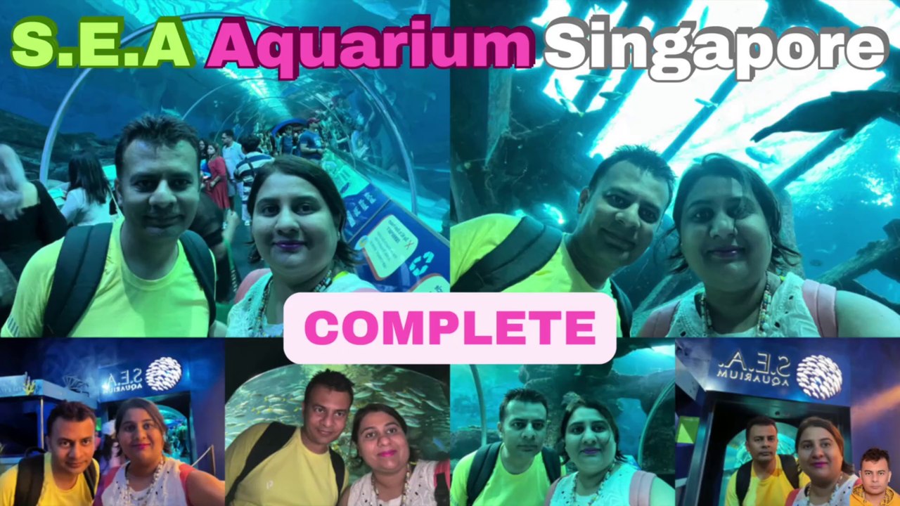Sea Aquarium Singapore Tour | Resorts World Sentosa | Singapore | Singapore Oceanarium | Saltwater Aquarium | Aquarium | COMPLETE