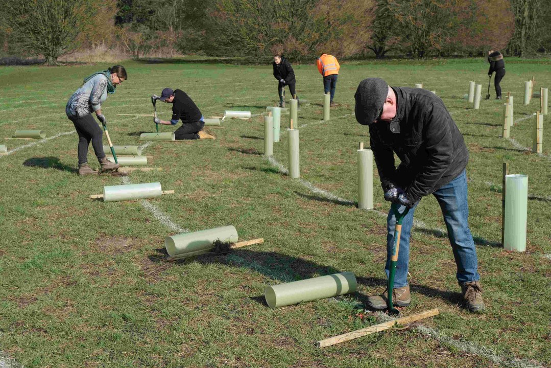 Hundreds of trees planted to remember those who lost their lives to COVID-19 in Maidstone