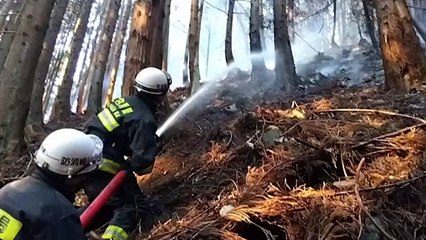 اليابان تكافح أسوأ حريق غابات منذ خمسين عاما