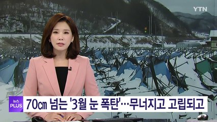 70cm 넘는 '3월 눈 폭탄'...무너지고 고립되고 / YTN