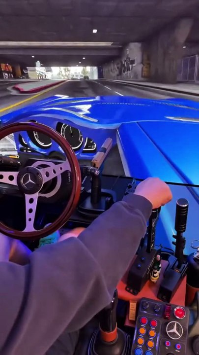 GTA type simulator game.