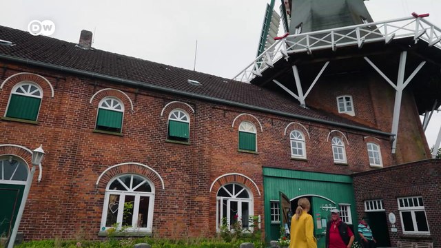 Tipps für einen Tag am norddeutschen Wattenmeer