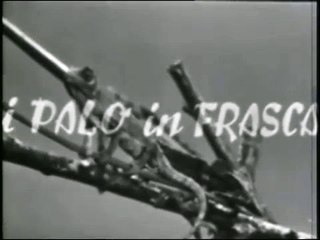 L'amico degli animali (1955) - Di palo in frasca 1/3