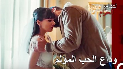 اذا كنت تعتقد انك ستكون سعيدا معها… - التفاح الحرام الحلقة ال 114