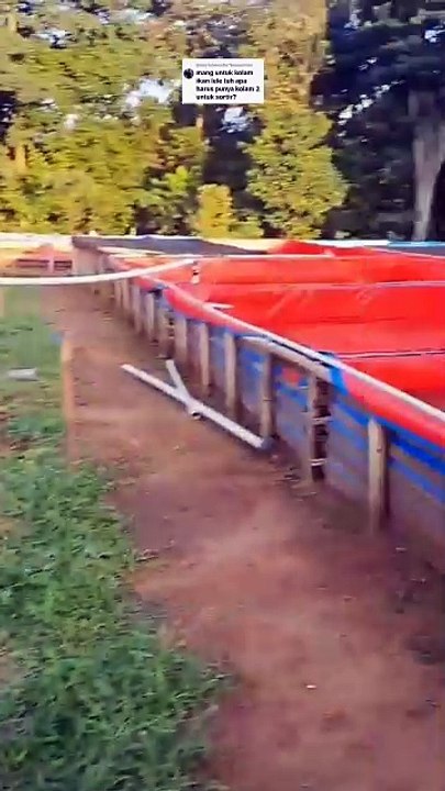 Kalau mau serius belajar budidaya lele, jangan membuat 1 kolam