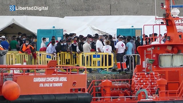 Han llegado a España más de 9.100 inmigrantes irregulares en lo que va de año
