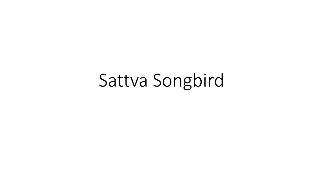 Sattva Songbird vedeo