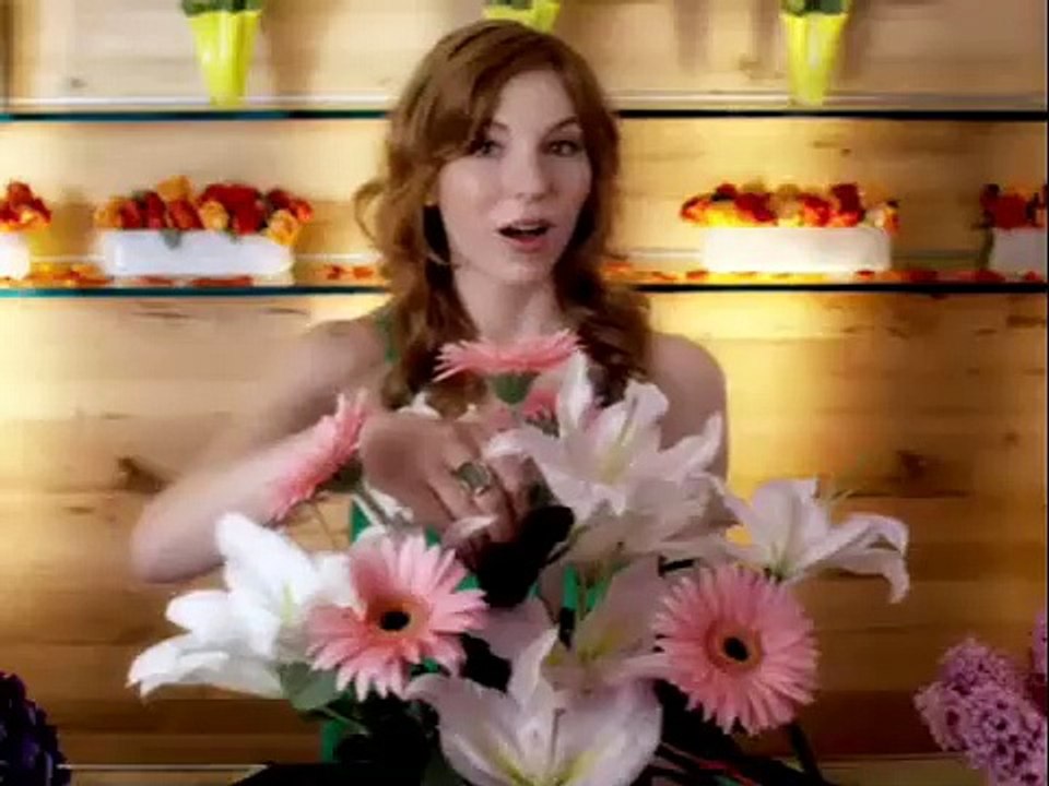 Nintendo DS: Imagine Boutique Owner Commercial! (2009)