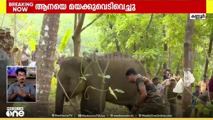 ആനയെ കയറുകൊണ്ട് ബന്ധിച്ചു, വെള്ളം പോലും കുടിക്കാനാവാത്ത വിധത്തില്‍ വായിലെ മുറിവ്