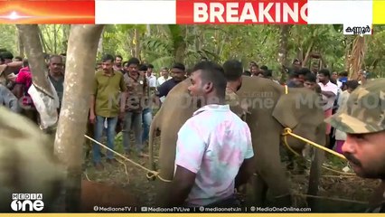 ശ്രമകരമായ പരിശ്രമത്തിനൊടുവില്‍ ആനയെ വാഹനത്തില്‍ കയറ്റി