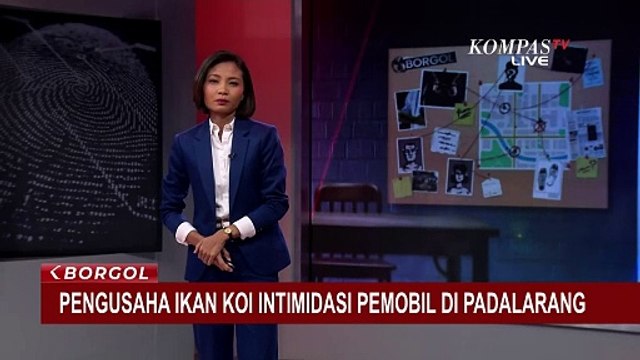 Pengusaha Ikan Koi Intimidasi Pemobil di Padalarang | BORGOL