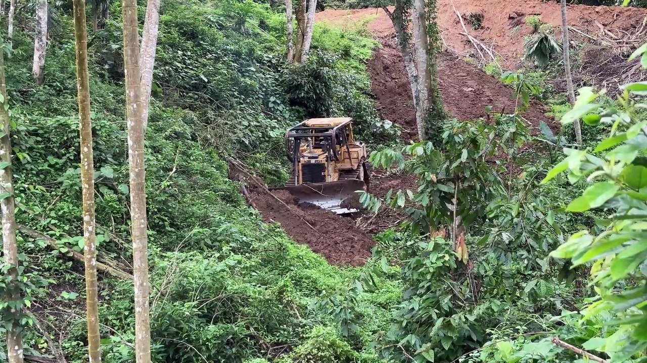 Bulldozer D6R XL Conquers the Edge of the Abyss to Open a New Path