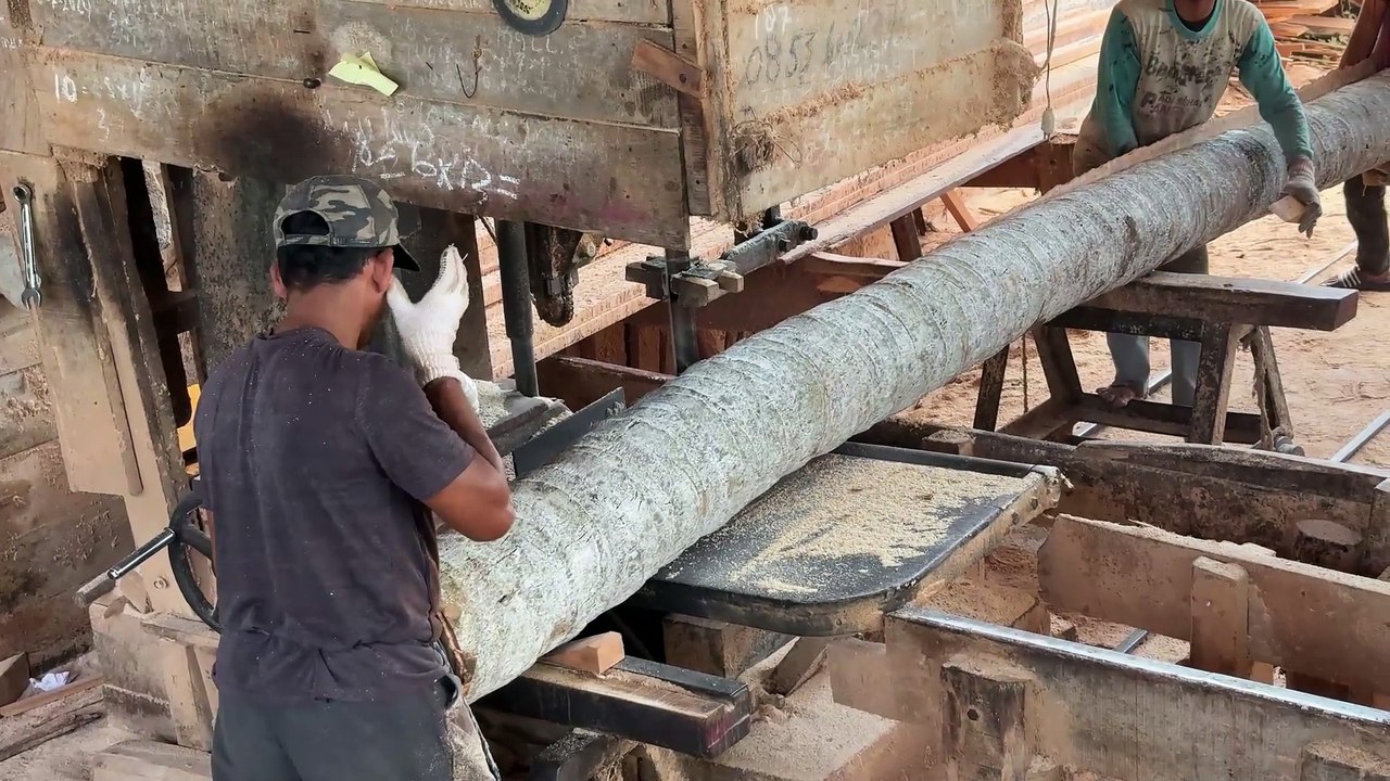 5x7 Coconut Tree Cutting Strategy with Sawmill Machine