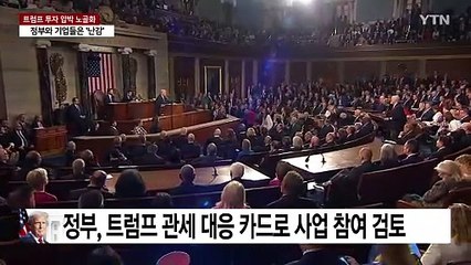 알래스카 가스관에 반도체까지 압박...정부·기업은 '난감' / YTN