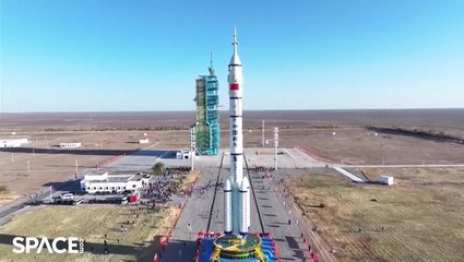 China's Shenzhou 19 Crew's Long March 2F Rocket Rolled Out To Launch Pad