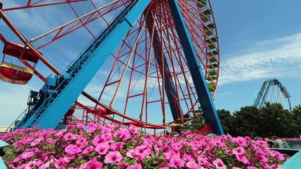 The Legacy of Schwarzkopf | movie | 2024 | Official Trailer