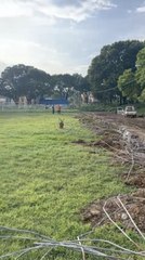 Mived trabaja en reconstrucción de pista de patinaje en el Parque del Este hace más de un mes