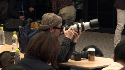 Honda e Nissan estudam fusão