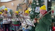 Crediton Town Band at Homeleigh Garden Centre, video by Alan Quick