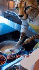 Chef Tiger