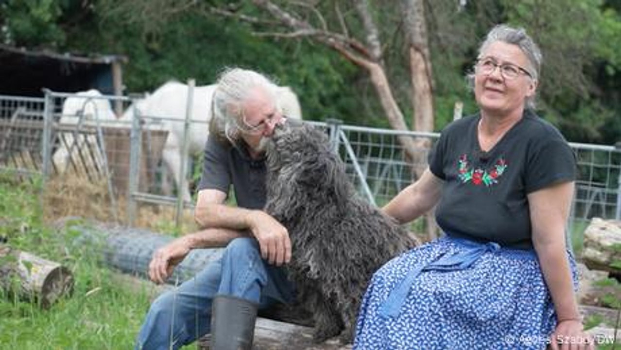 Ungarn: Ungarisch-deutsches Ehepaar rettet verfallenes Dorf