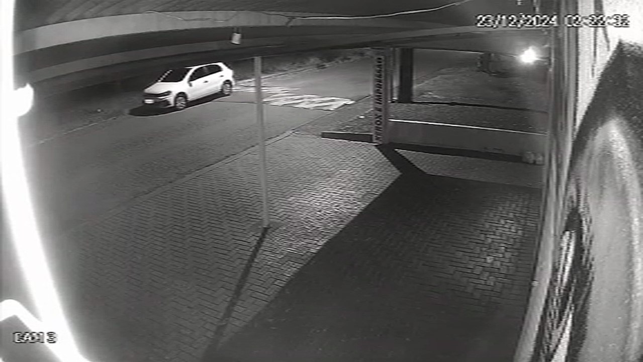 Câmera registra homem abandonando caixa com filhotes de gato no Bairro Paulo Godoy