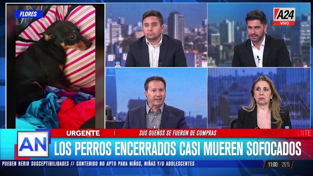 ✋ RESCATARON DOS PERROS ENCERRADOS EN DOS AUTOS: NO SE PUEDE NORMALIZAR ESTO - Reneé Cormillot