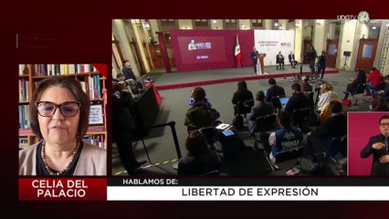 Libertad de expresión: Celia del Palacio