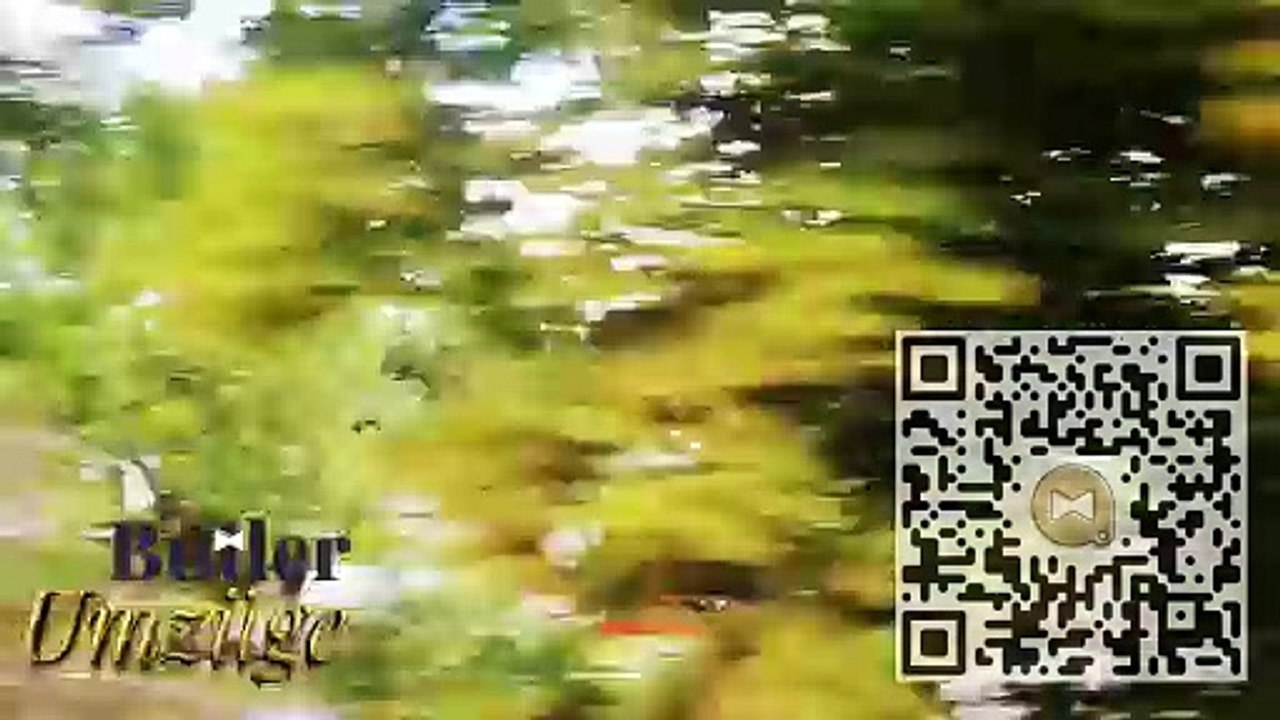 Angebote für stressfreien Umzug in Berlin mit #ButlerUmzügeGmbH🚛Gewerbeumzug Berlin zu bieten — und noch mehr darüber hinaus