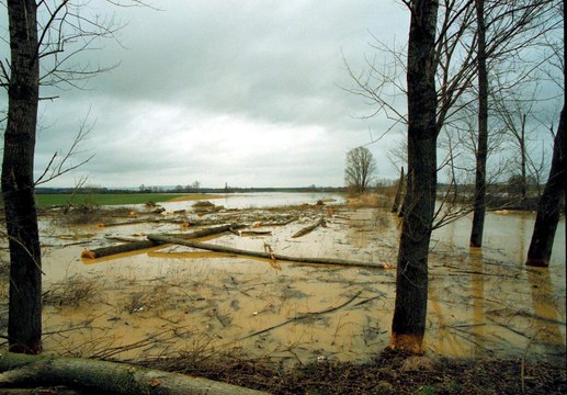 Tempête de 1999 : les dégâts en Lorraine