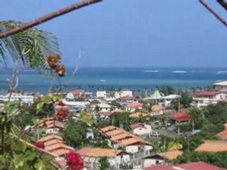 La Martinique un monde suplime