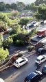 Il video dell'albero caduto in via Lanza di Scalea a Palermo