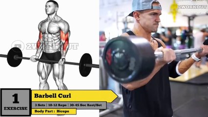 Week 1 Day 2 - Biceps & Forearms Beast Mode: Unleash Arm Power! - 2WORKOUT